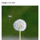 청주시립도서관 동아리실1 이미지