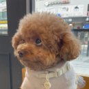 다니엘동물병원 이미지