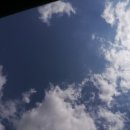 햇빛 찬란한 그 길 이미지