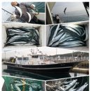 선상상회 이미지