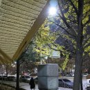 M0프로젝트 이미지