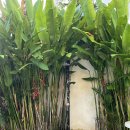 THE 메달리스트 복싱 GYM | [2025 발리(5)] 발리 꾸따 헬스장 <THE FLASH GYM> 수영장, 사우나, 식당까지 있는데 이정도 가성비라고...