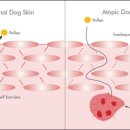 석수동물병원 이미지
