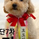 (주)에버셀 이미지