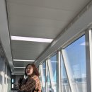데파토 이미지