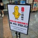 [종로 맛집] 줄서서 먹는 꽈배기! 광장시장 찹쌀꽈배기 방문 후기