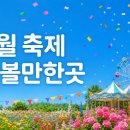 6월 축제 가볼만한곳 2026 전국 추천 BEST 총정리 이미지