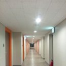 강남-191 이미지