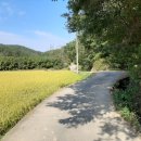 옛길가든 이미지