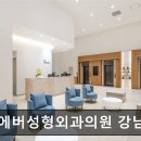 서울 강남 논현동 성형외과 추천 포에버성형외과의원 강남 서울 강남 성형외과의 신뢰도