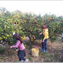 승우농장 이미지