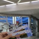 578 | 카자흐스탄 박물관 / 도스틱 플라자 / 알마티 맛집 Mado / 갈마트 / 알마티 식물원 / 아시아나 OZ578 후기