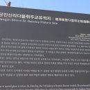 (주)삽교호놀이동산 이미지