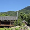 동천정 - 평택시 | 동천정