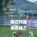 게르메스