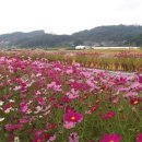 노동3리 이미지