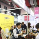 한빛아시안마트 | [대전]와인페어 2017 토요일 후기+간단한팁