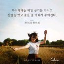 카르페디엠 이미지