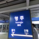 권실장참마찹쌀꽈배기영주역점 이미지
