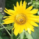 가산농장 이미지