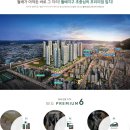 삼정(남) 이미지