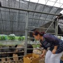 박순섭 농장 이미지