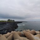 RAUL48 네이버블로그