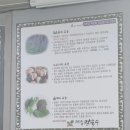 일품칼국수 | 서천 맛집 소문난일품칼국수 후기