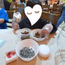 경재 농장 이미지