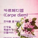 지당 Daum카페
