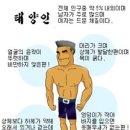 사상체질의 특징 이미지