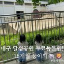 달성공원 | [육아일상 / 가족나들이] 무료인데 이렇게 잘 돼 있다고?! 대구 달성공원 동물원 후기🐘 (수유실)