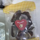 도그먼트 이미지