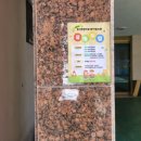 옥성초등학교 병설유치원 이미지