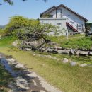 피닉스 골프 클럽 이미지