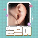 엘브이의원 | 부산 귀필러 망설이시는 분들께 필러 솔직 후기