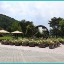 미동산수목원 이미지