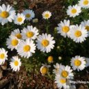 당하1호공원 이미지