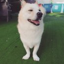 울루라떼 이미지