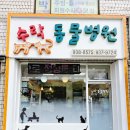 당고개동물병원 이미지