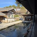 나무향기 한증막 | 춘천 나무향기 한증막 후기 (서울근교데이트/춘천 찜질방 추천)