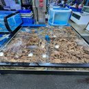 갈릴리 수산물 도매 이미지