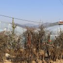 김미숙공인중개사사무소 이미지