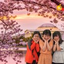 울산원예농업협동조합(하나로마트) 이미지