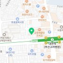 고양이 무마취미용&호텔 무냥무냥 부산서면점 이미지