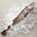 맛대구탕 이미지