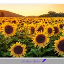 이로움메디컬 이미지