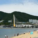여수 수국 명소 추천! 로스티아 장도 실시간 개화상황 비교 후기, 지금은 여기 승