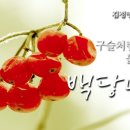 [꽃 이야기 109회] 구슬처럼 영롱한 붉은 열매 - 백당나무 이미지