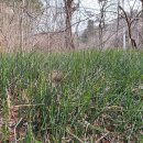 감사히 잘먹겠습니다 이미지